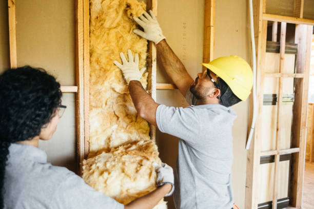 Best Batt and Roll Insulation  in North Royalton, OH